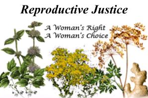 Natural Miscarriage: Reproductive Rights for Women around the World